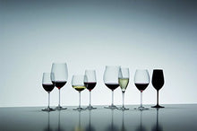 Riedel Sommelier's Double Blind Tasting Glass, Packed in a Single Gift Tube